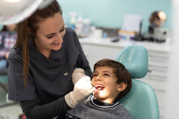 Best Chipped Tooth Repair Near Me  in Saint Johns University, MN